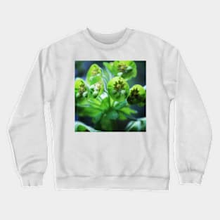 Green euphorbia Crewneck Sweatshirt